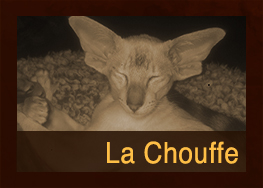 La Chouffe