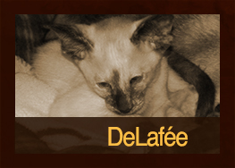 DeLafée