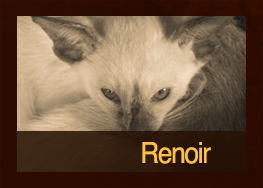 Renoir